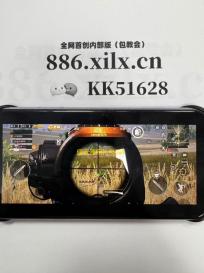 偃武通用礼包码4